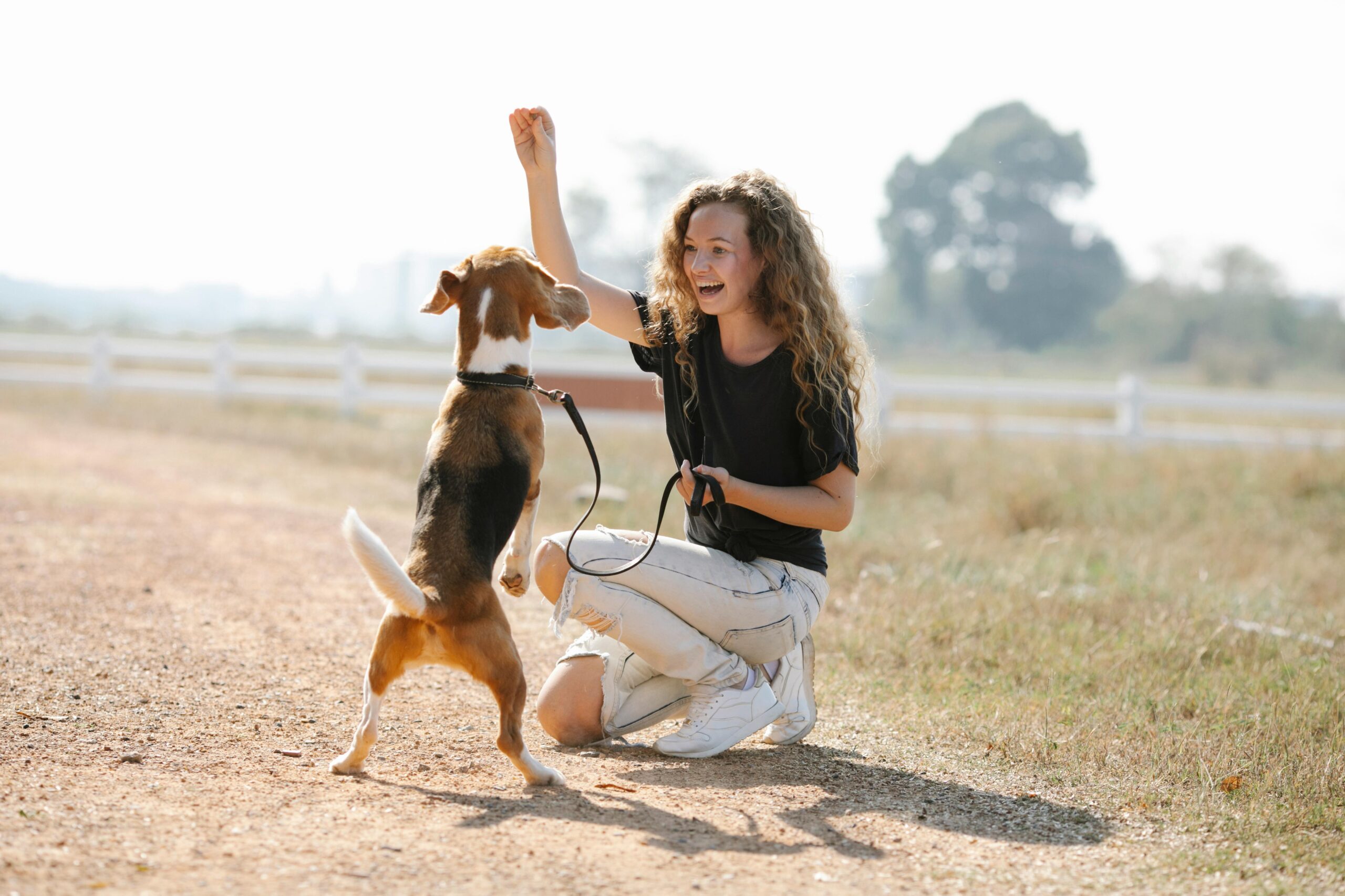 Do Professional Dog Trainers Use Shock Collars? Explore the Debate